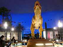 ���䌧������������